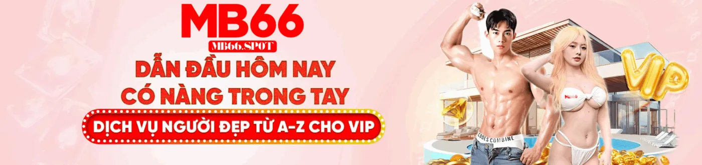 banner mb66