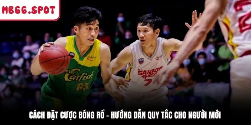 Cách Đặt Cược Bóng Rổ - Hướng Dẫn Quy Tắc Cho Người Mới
