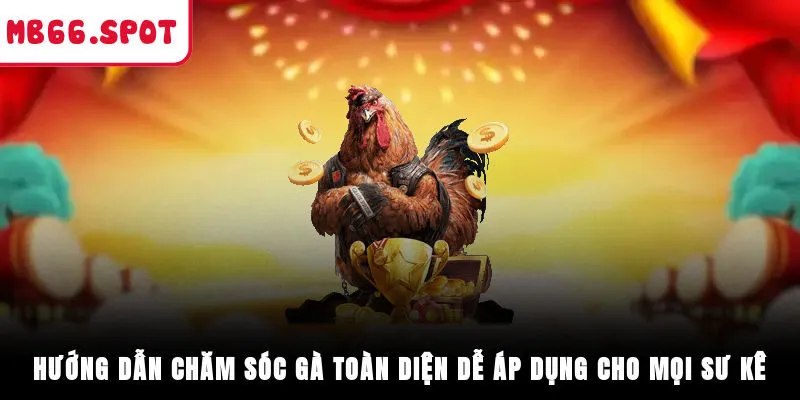 Hướng Dẫn Chăm Sóc Gà Toàn Diện, Dễ Áp Dụng Cho Mọi Sư Kê