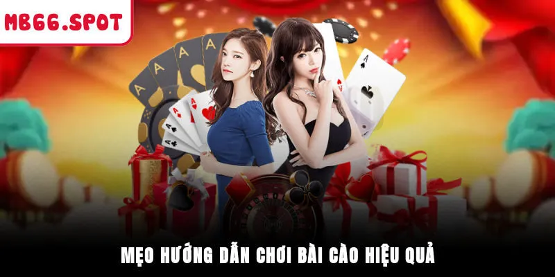 Mẹo hướng dẫn chơi bài cào hiệu quả